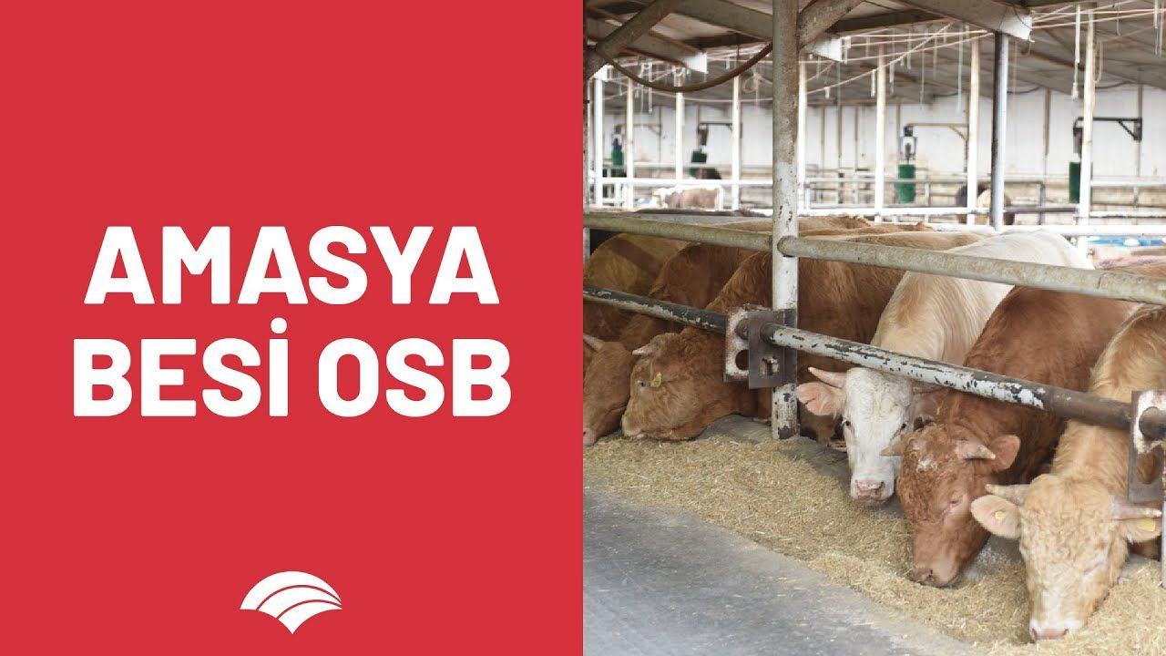 Üretimden kesime, bakımdan pazarlamaya kadar hayvancılığa ilişkin bütün süreçleri tek noktada.